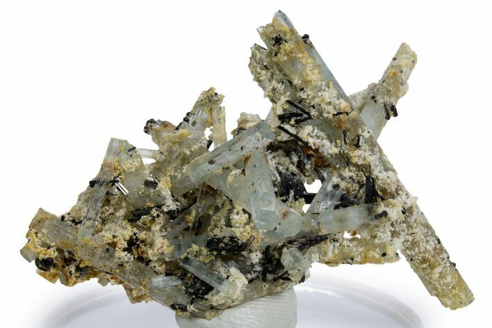 Aquamarine Crystal Spray w/ Schorl and Feldspar - Namibia #346210